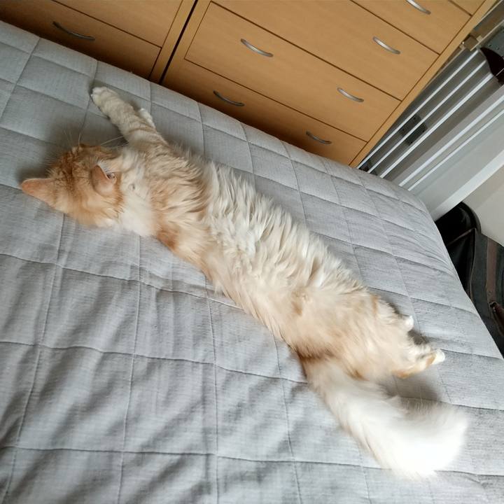 793970f2 b163 4c6c a3cb fb2efa726257 1623456282952