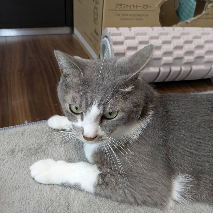 79397ce1 e9a9 4c39 b9b2 6ac3b60e954f 1759317085692