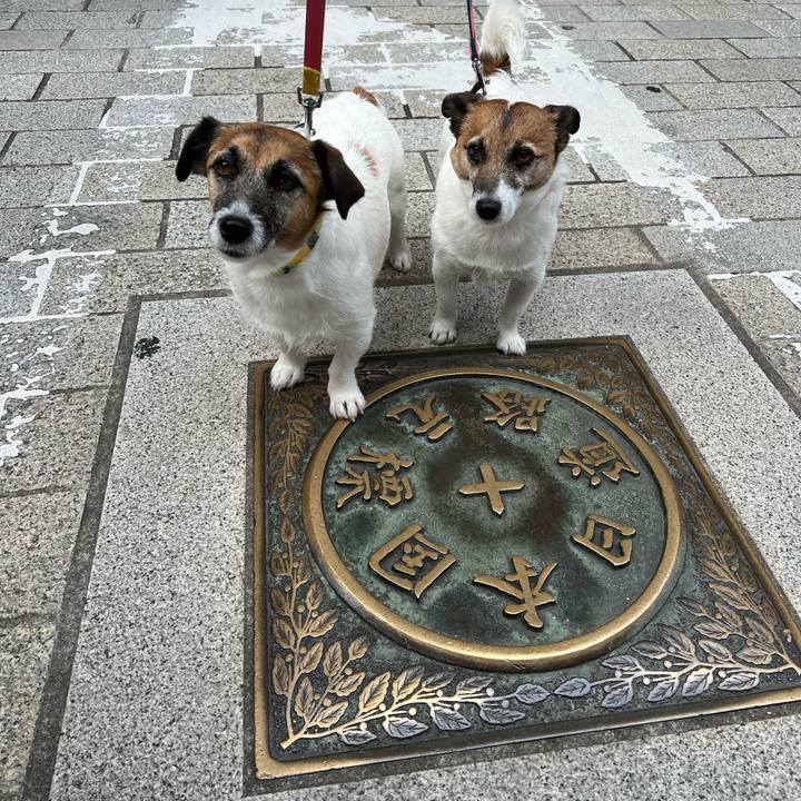 7939ab89 77ec 46f4 9e49 137855c85307 1680424687312