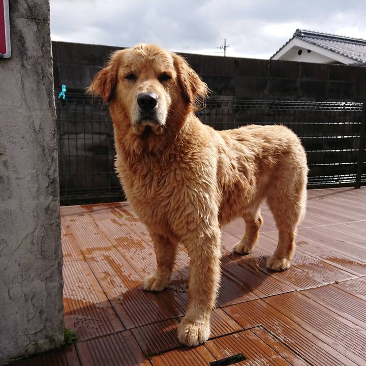 7939bc8b 0ed3 40f1 9f96 ec34e1bf46f4 1587374521467