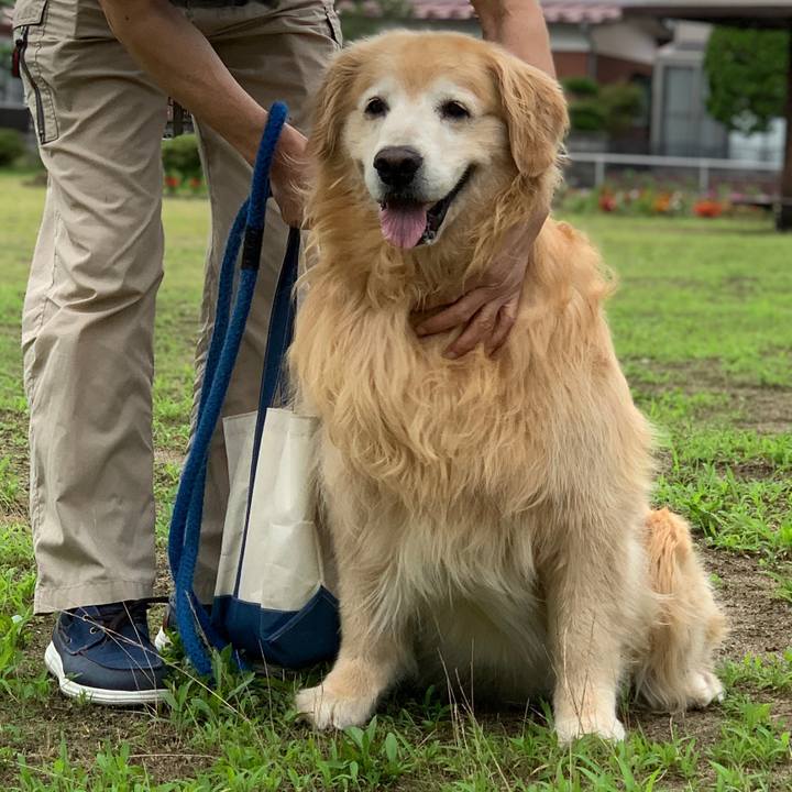 793a1968 2119 4437 b380 e69ba093fded 1594976740889