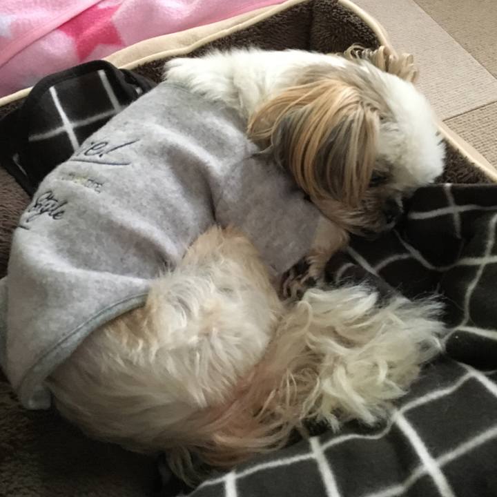 793a2f04 d79a 4141 8bb5 703ed2cfffa6 1641883185010