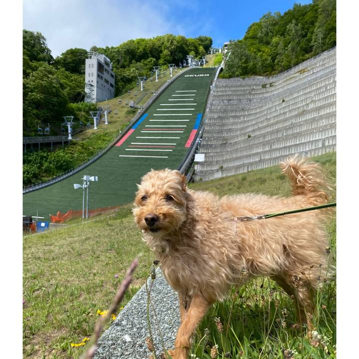 793a5449 d90f 438b 9439 834c627d46b7 1654992766508