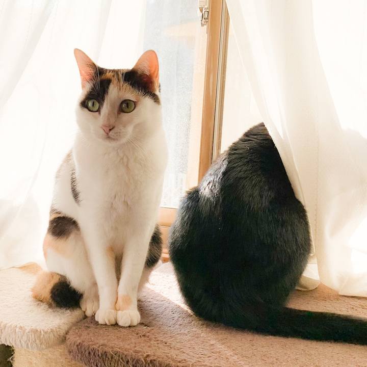 793a5584 e843 4e70 aa18 5d21f052ce2d 1574560312458