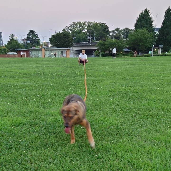 793a6492 4cb4 45c7 962e eda030102e5a 1689590295617