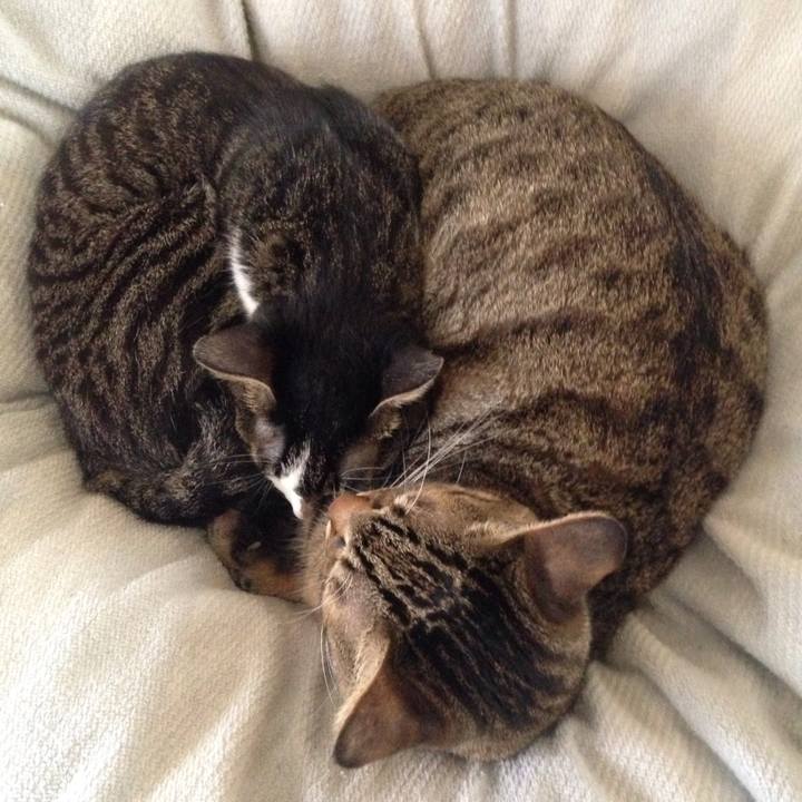 793a7c89 65a9 41d3 a9b9 fb5840b793ff 1510656668344