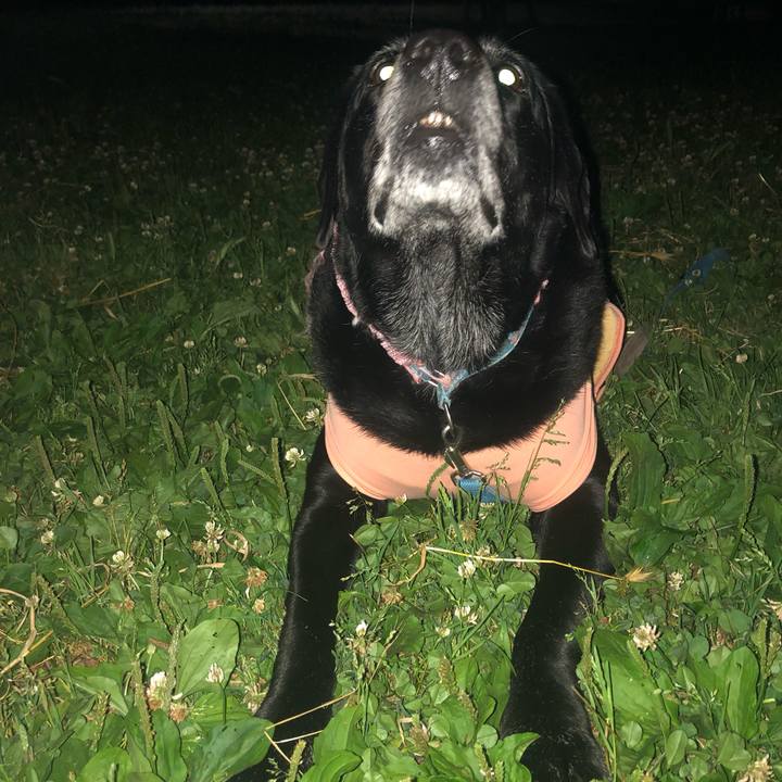 793aa6be c397 4b33 8ea9 8333b561e8d6 1559649621637