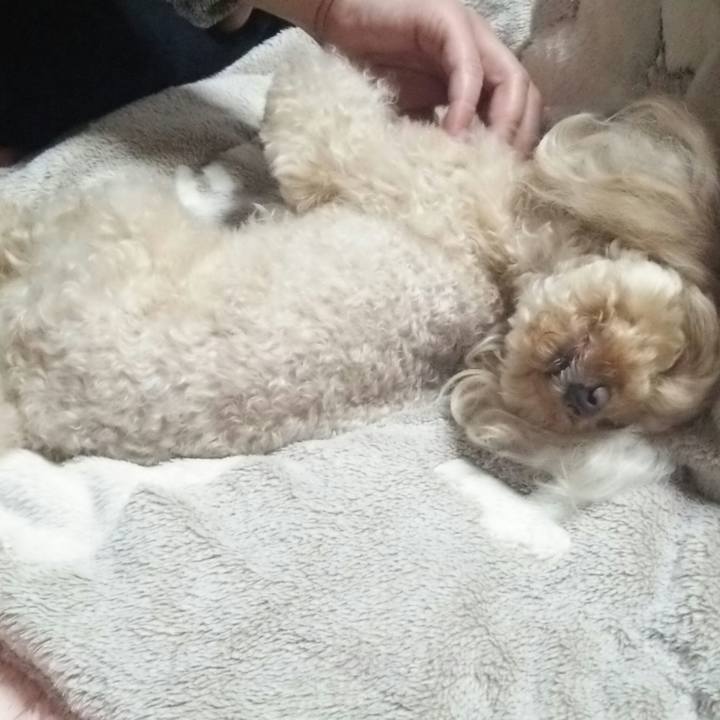 793ac5f2 e4f4 499c afde 909c01ee78af 1521205674941