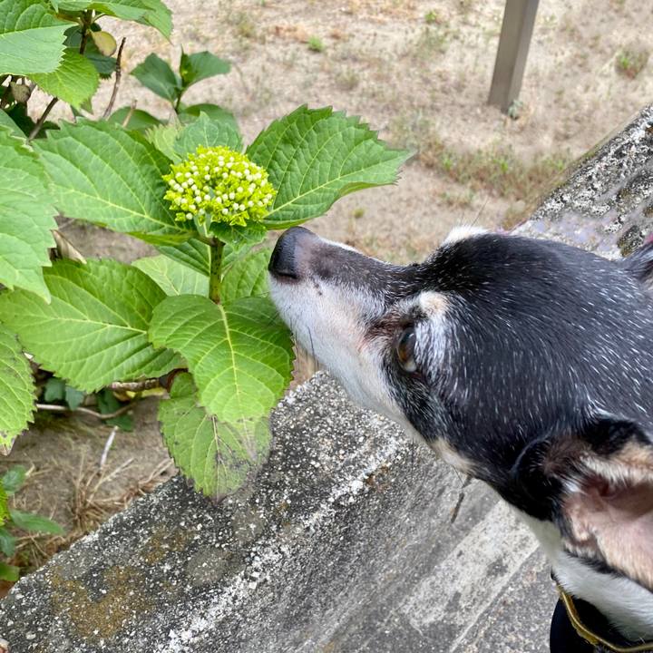 793b1aac 1e88 4c19 afaf b93f3dd57cc4 1589321220149