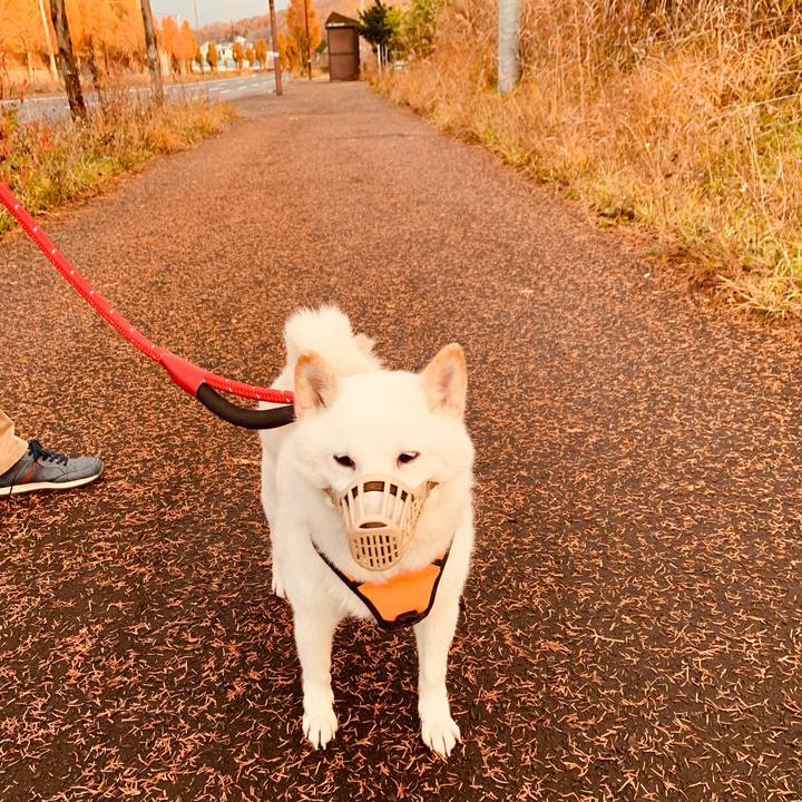 793b29fb 9590 4bcd a79d acb50562feb2 1668465854034