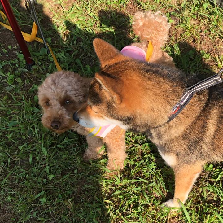 793b35e2 242b 4044 8eaf c49d6e1f7ba1 1772893810745