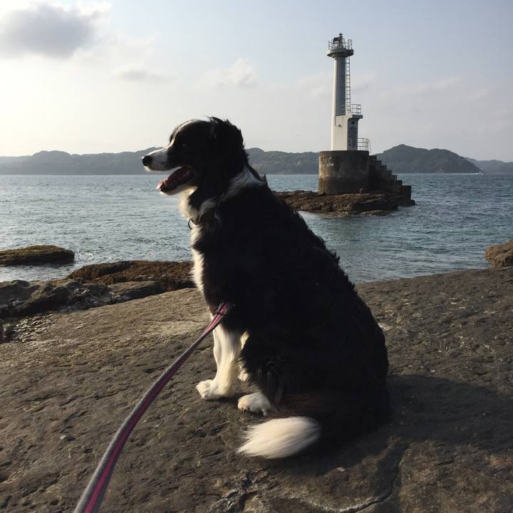 793b43ac 4958 4637 8dff 77534a6523a7 1557149621033