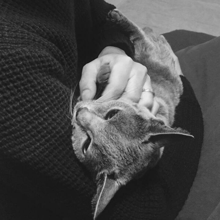 793b5035 e571 47d3 9dc4 78a8f0af33f8 1542351611966