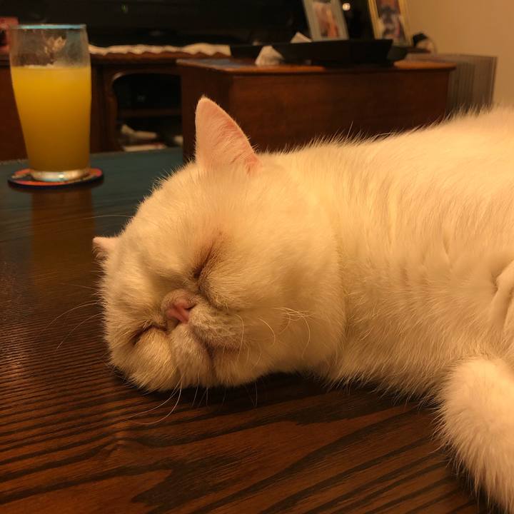 793b5209 be5b 48e3 8d5c 5b723cee5476 1600254453081