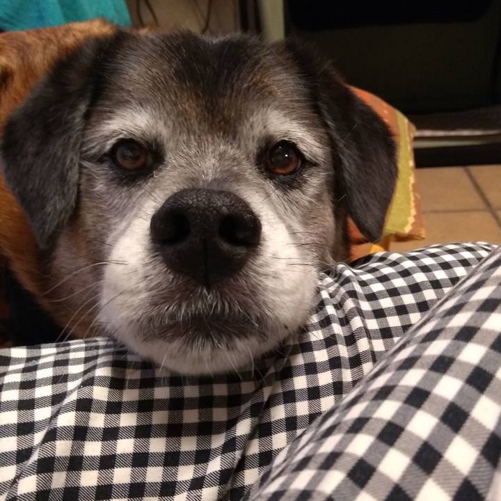 793b7f53 2072 4182 8d3e bd70d6d1ceec 1559987944297