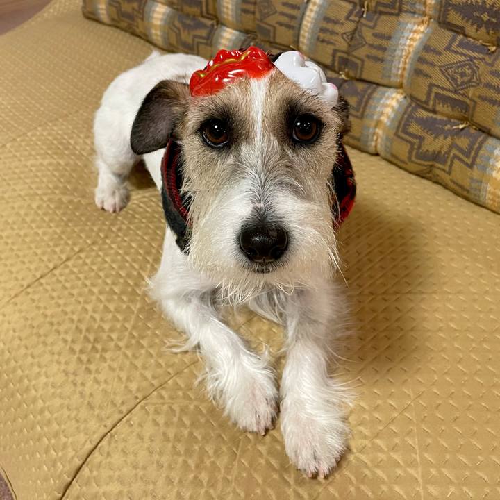 793b8524 6d92 46f4 a46b f779dc590360 1675425998988