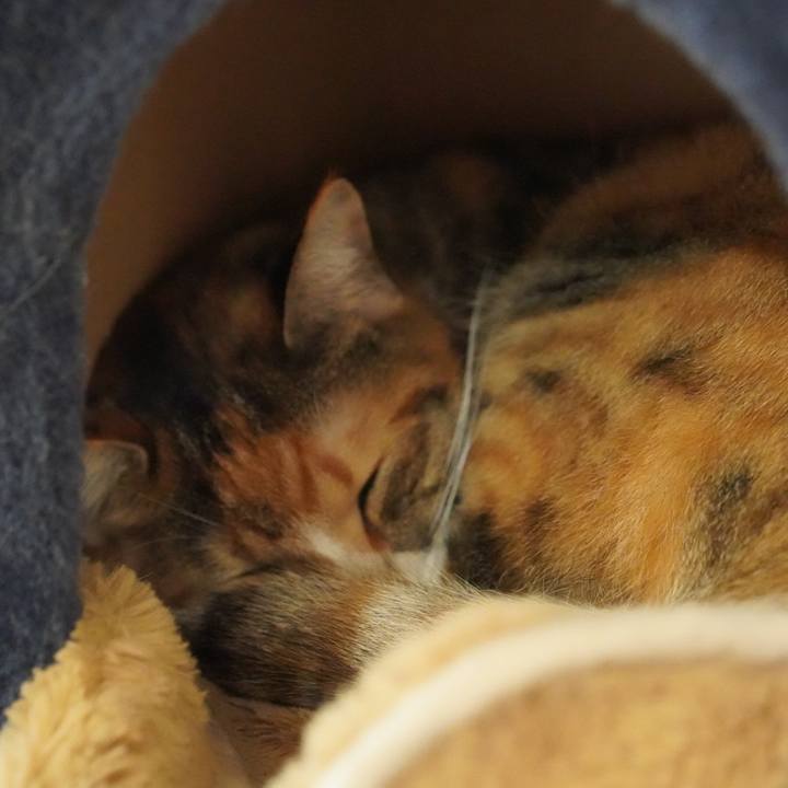 793b8f17 dc06 4076 b2b5 1256d7b24a1b 1634740178679