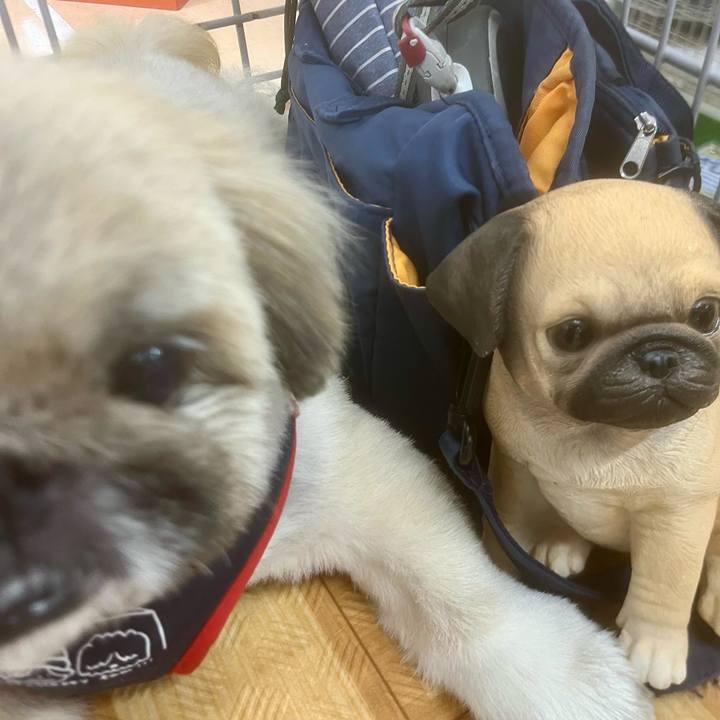 793b9b28 a3a8 4f7d ac88 bd55891825d8 1726473368900