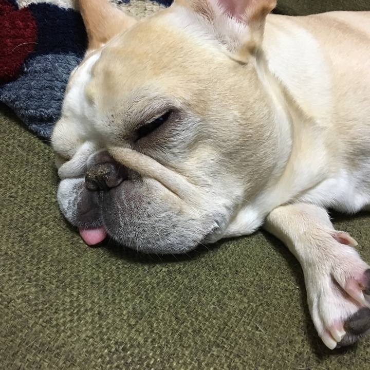 793bee59 9c67 4010 93df 19b30b83608d 1529312892768