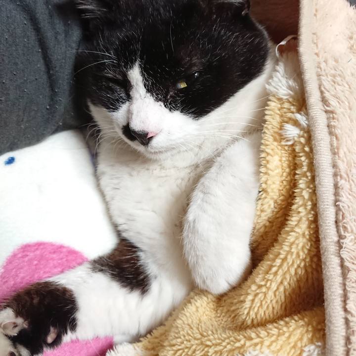 793c003f 63b4 42c4 914e 84ec21f73a85 1639230958647