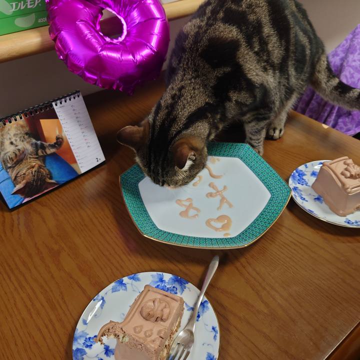 793c20dc 95aa 4bbc 9916 662c2886eccf 1677589784439