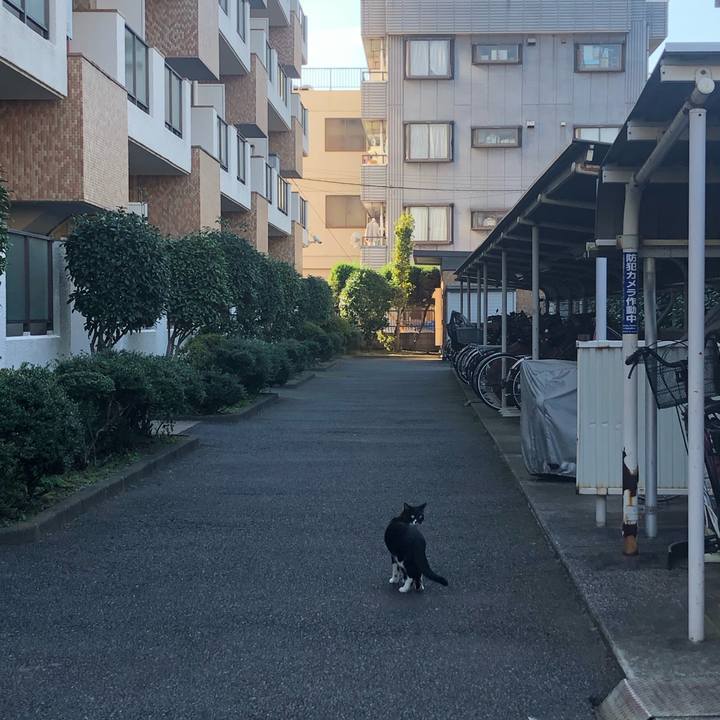 793c7a86 acd7 43b5 a452 a2a2b9f64291 1575205594036