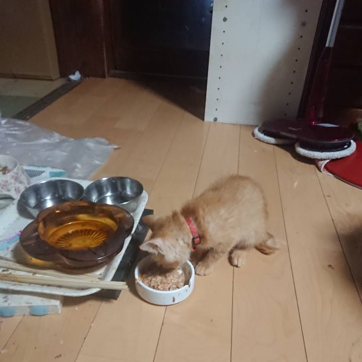 793cecf0 7110 474e 9b17 06069fe51a7f 1629145659867