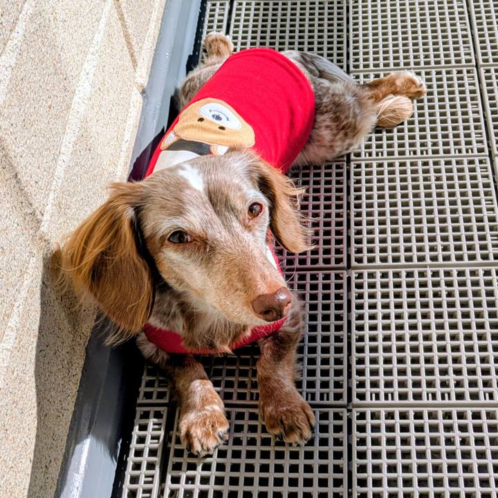 793d1f6e b7e9 41d0 8962 3206d4458883 1763793107590