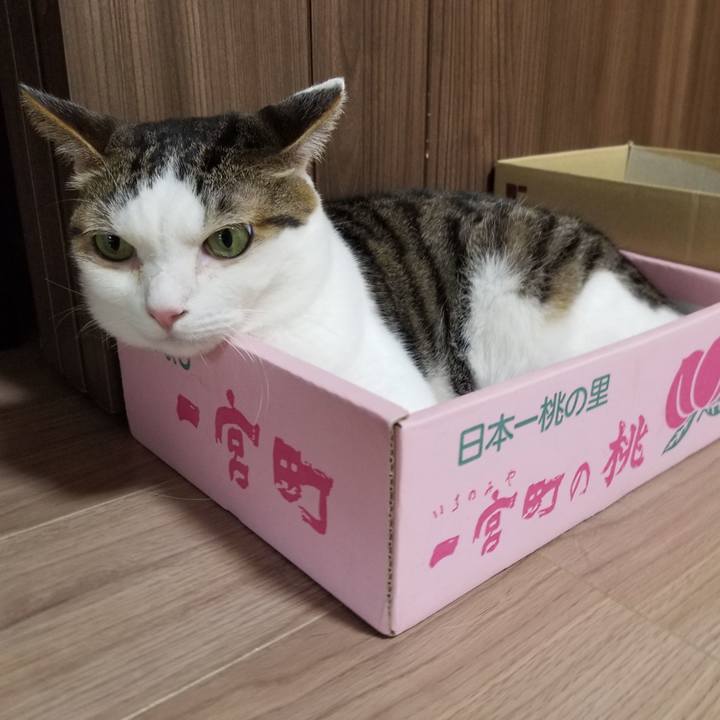 793d41fb 9180 4b77 aa30 fe417aab743c 1617139421386