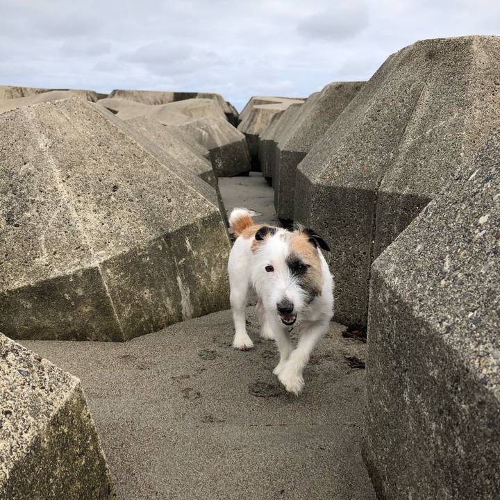 793d6093 c32b 42a5 8315 e17e3e98970f 1593730427056