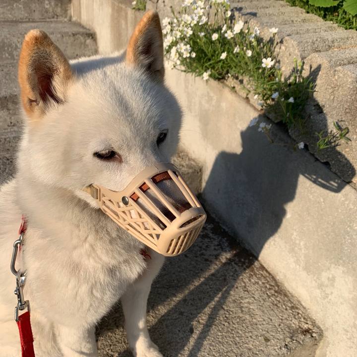 793d61aa fbe3 4877 9229 a83b7abc5cc2 1558816611720