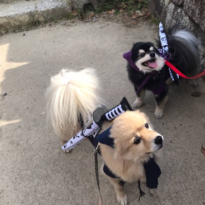 793dc701 f7a7 4ea1 be25 a7fd4bd506ca 1590231114752