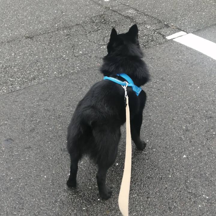 793dd5eb 297f 4df1 a63a 5f80b93a80f4 1627939137210