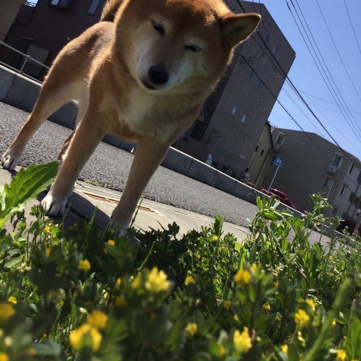 793ddc07 80c7 41eb b793 668050738343 1586836048866