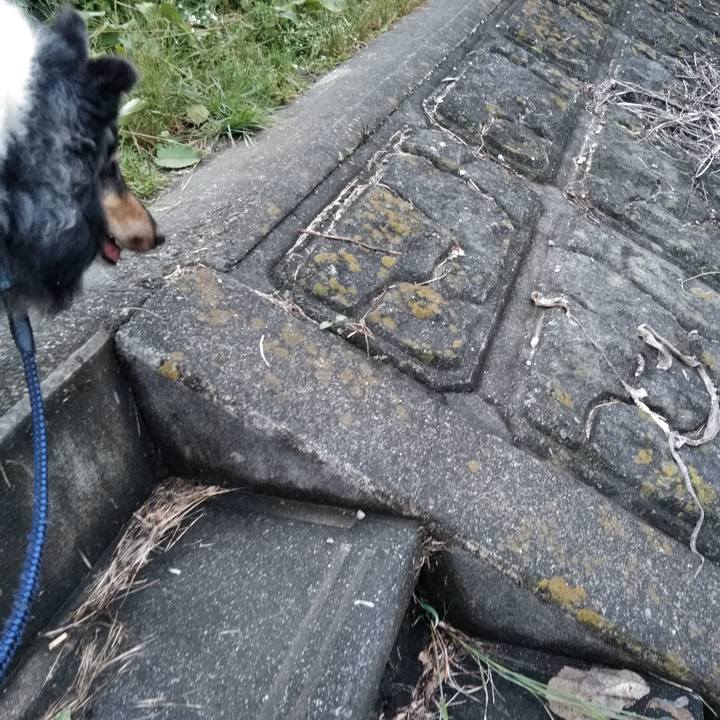 793e03a8 439f 465d 815f abce0209446e 1561983665309