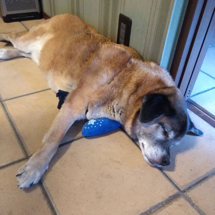 793e08df 515c 4131 ad27 42fe40ae8c74 1559772633808