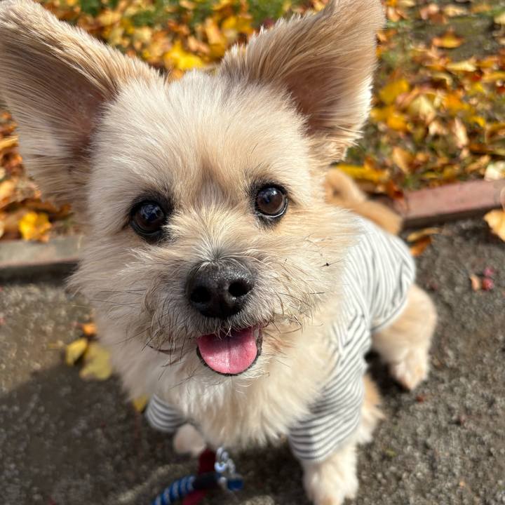 793effda 129e 479c 9940 d7742b3fea0c 1761563512011