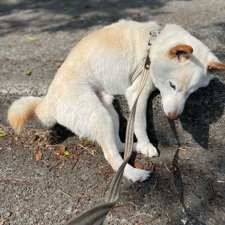 793f08c1 7522 4148 8c5f af232f7906bf 1647254107331