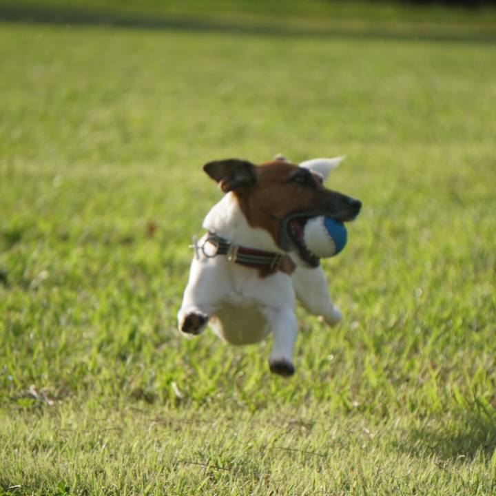 793fa9d1 8d6f 4aef ab4a 16c32e58bc7b 1568760405282