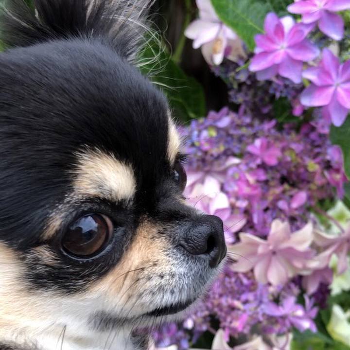 793fd2ee 1514 4af8 97ba b2050fec5643 1591832325651