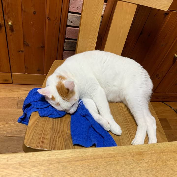 793fe6c8 b35f 49f4 aa59 80558469f408 1592226178109