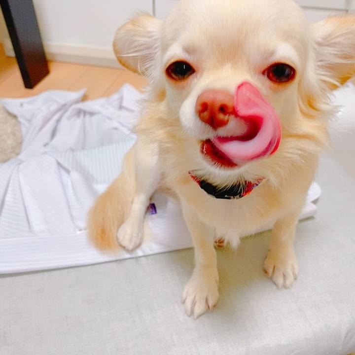 793fec2e aa13 4e36 89c9 3d3e29ec102b 1633081992017