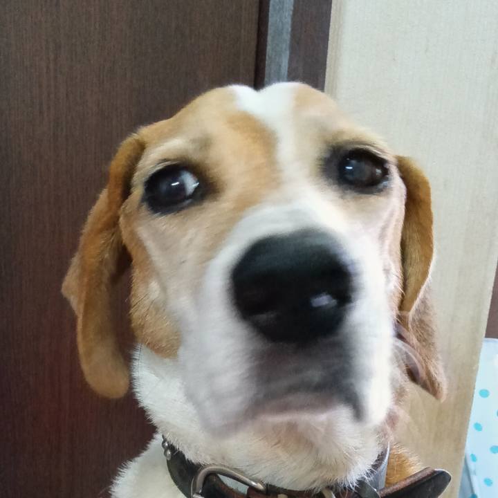 79402e33 48e4 4899 8681 dd2b98d89334 1731763400491