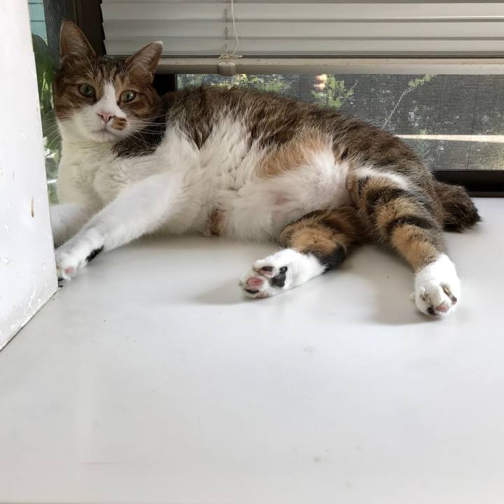 794056dc 7bc0 4cf3 b284 147a4f217e08 1569913415367