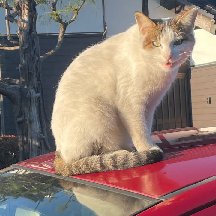 79406db8 431c 4996 bd4f 9fe4b841ff21 1669361257918