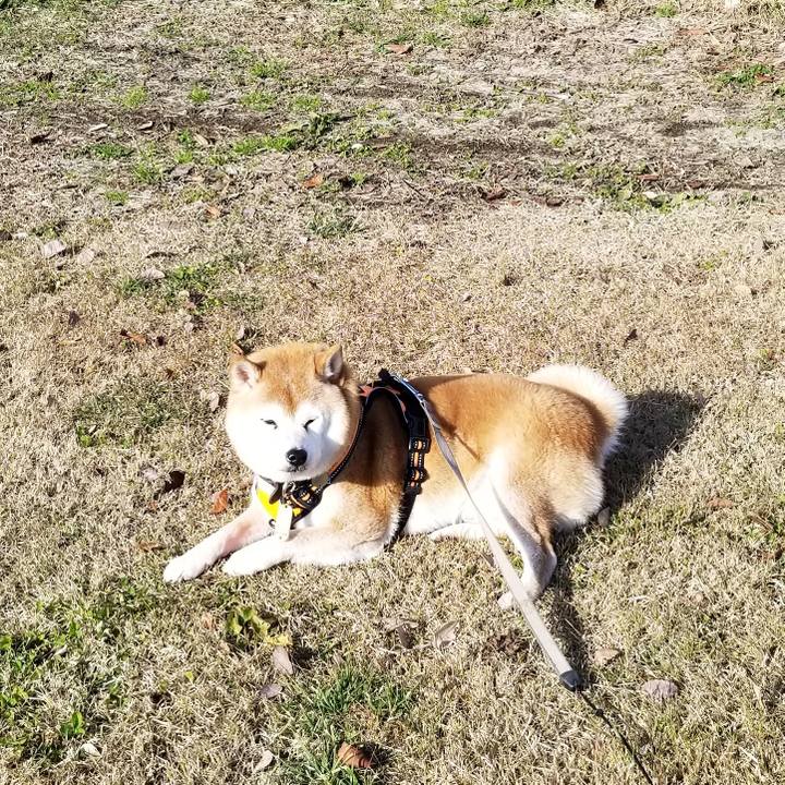 79408ce3 9217 4d4f 8f51 ab6cc17d3167 1639281957535