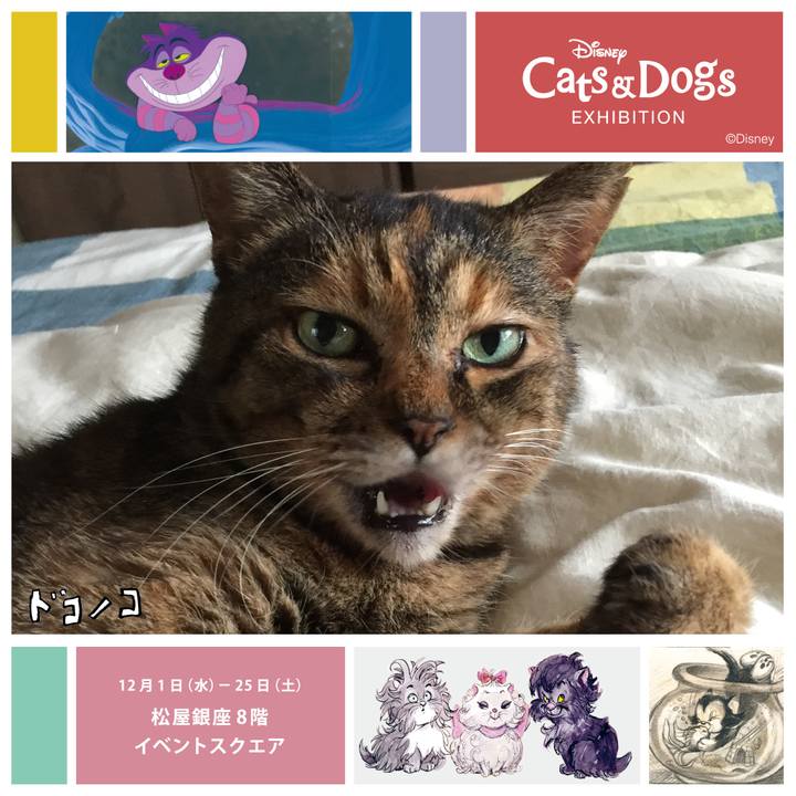 79409740 bb5d 482e 8a8e 1c63e3e74c3b 1638340708755