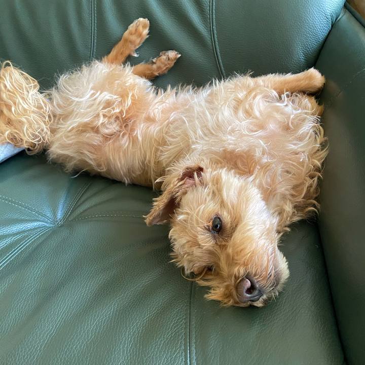 79409af5 58de 4f3b 81ca cdd495028fa7 1624927843617