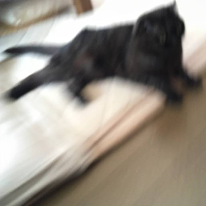 7940f490 0c21 497f bc63 5f89bc57ee1a 1526515179682