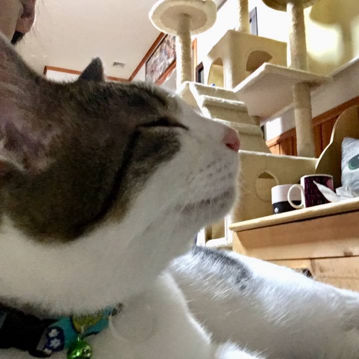 79410fad 4b22 4899 99b0 b3ca85a755b0 1528991416414